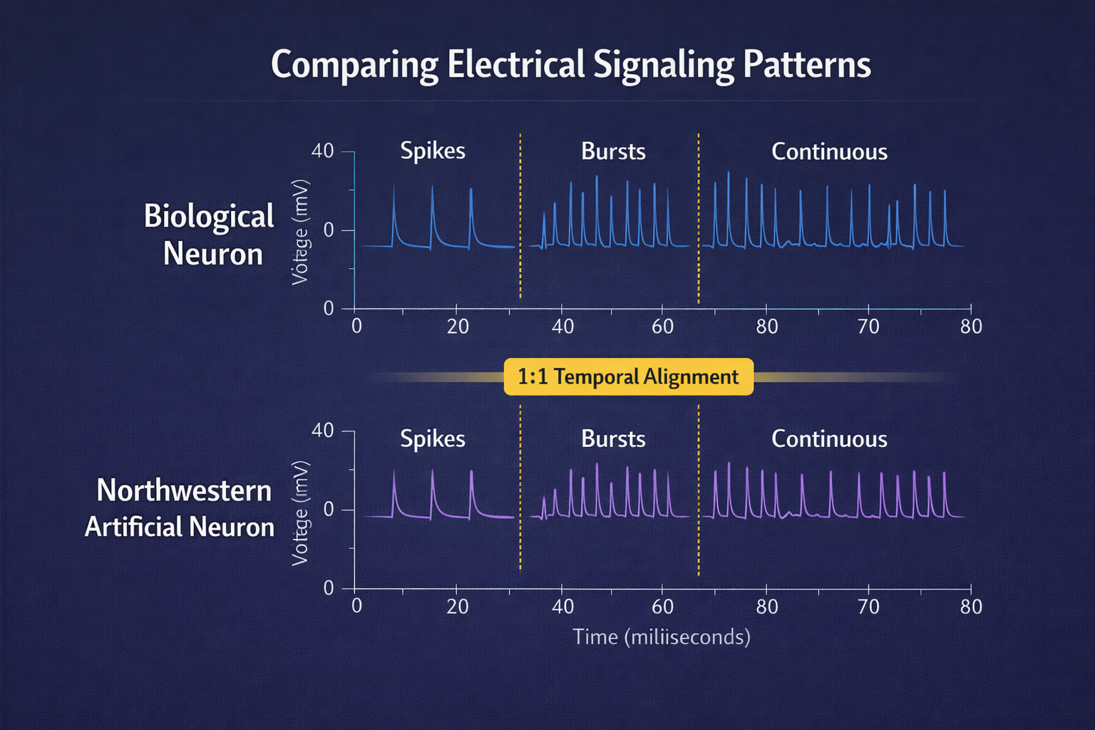 A comparison illustration of electrical signaling patterns. Top row shows 'Biological Neuron' with a sequence of spikes, bursts, and continuous firing. Bottom row shows 'Northwestern Artificial Neuron' mimicking the exact same temporal patterns, spike shapes, and frequencies.