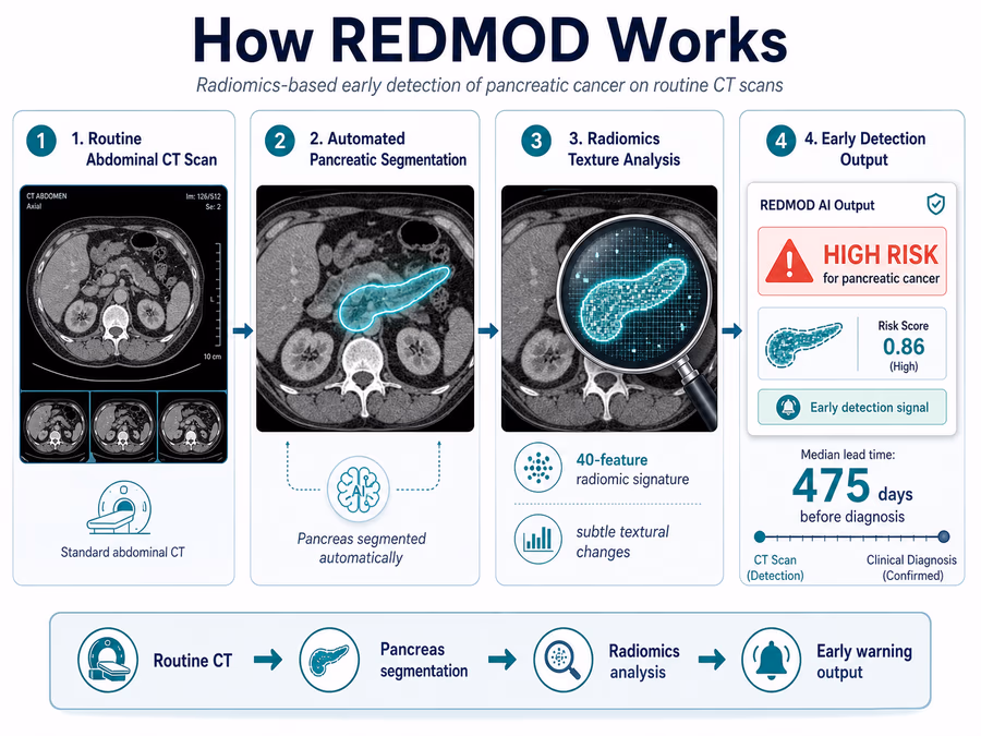 A technical diagram explaining the REDMOD process.