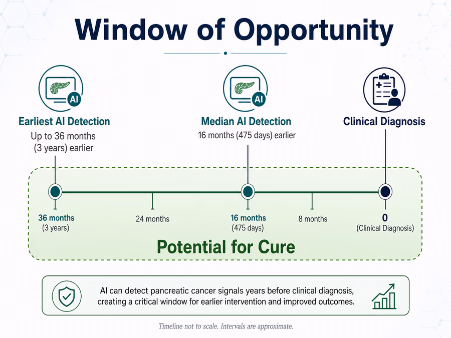 A horizontal timeline graphic showing the 'Window of Opportunity'