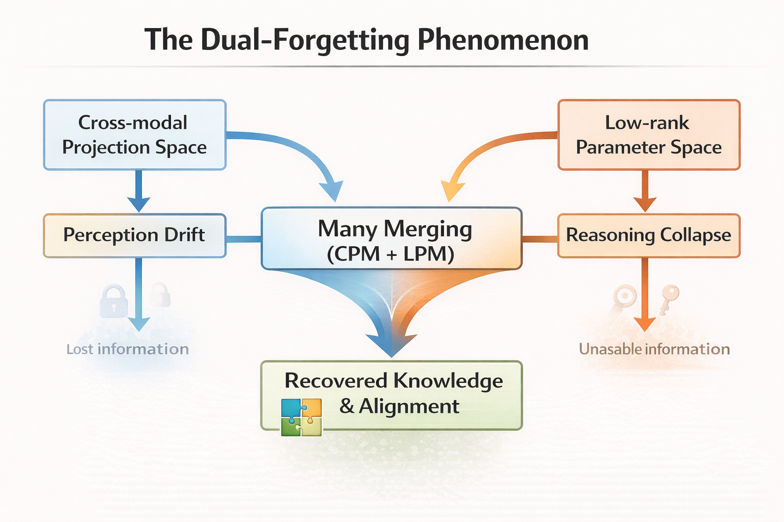 A technical diagram titled 'The Dual-Forgetting Phenomenon' showing a two-path flow.