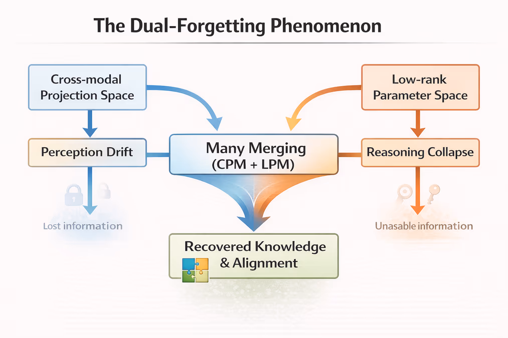 A technical diagram titled 'The Dual-Forgetting Phenomenon' showing a two-path flow.